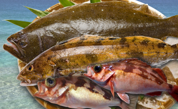 サンプルイメージ