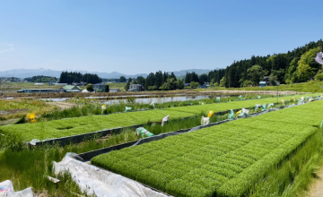 サンプルイメージ